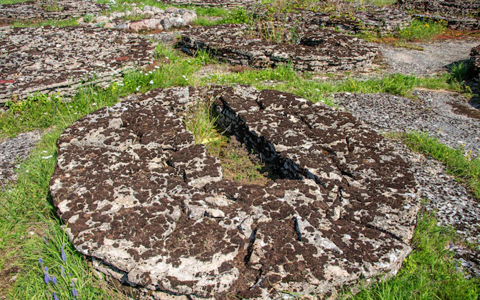 Rebala barrows, prehistoric stone-cist graves in Rebala Heritage Reserve, Estonia.