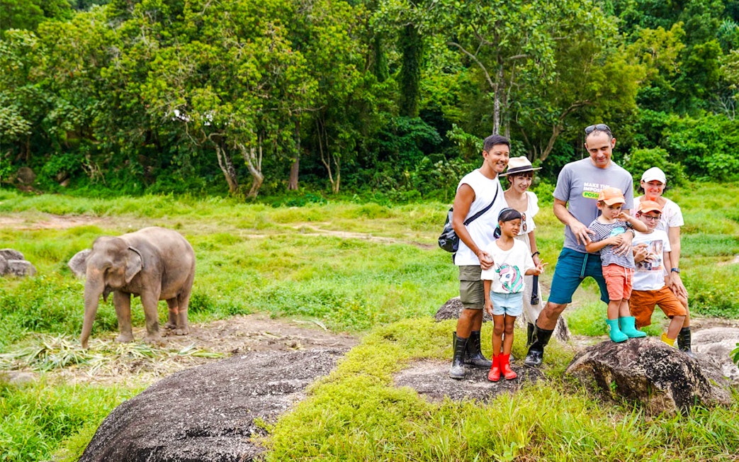 Families enjoying photo opportunities at Bukit Elephant Park with an elephant nearby.