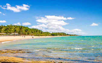 Beach view at Arraial d'Ajuda, Porto Seguro, with palm trees and clear blue water.