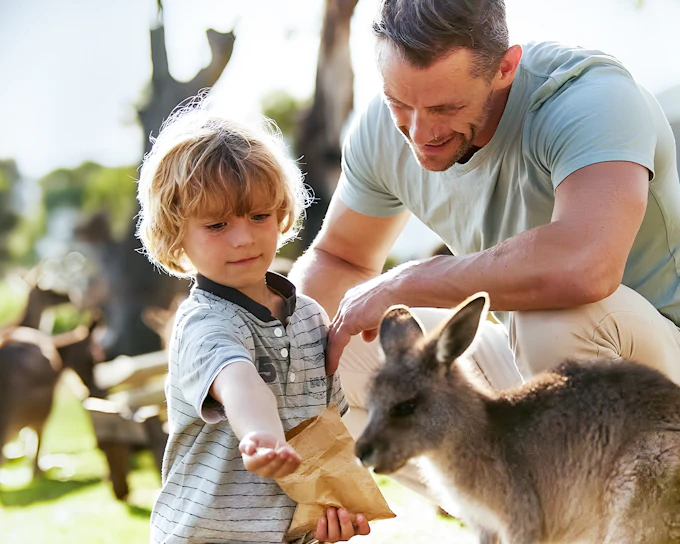 Bonorong Wildlife Sanctuary Tickets