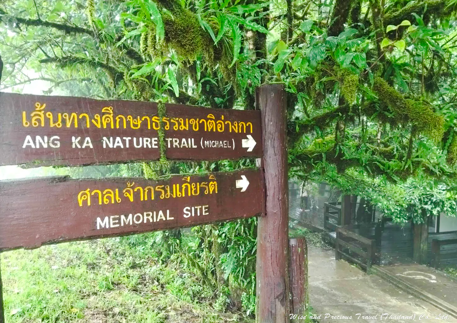 From Chiang Mai: Doi Inthanon National Park Private Tour