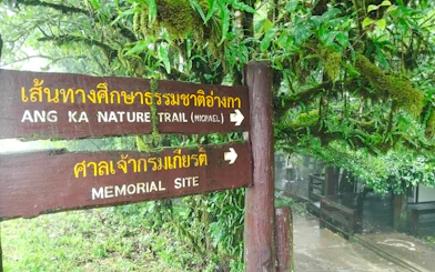 From Chiang Mai: Doi Inthanon National Park Private Tour