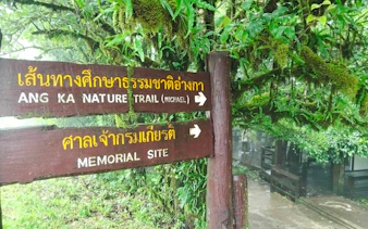 chiang mai'den: doi inthanon milli parkı özel turu-3