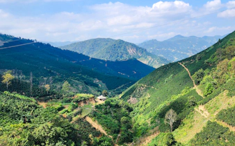 from hanoi: son la coffee farm tour with overnight homestay-8