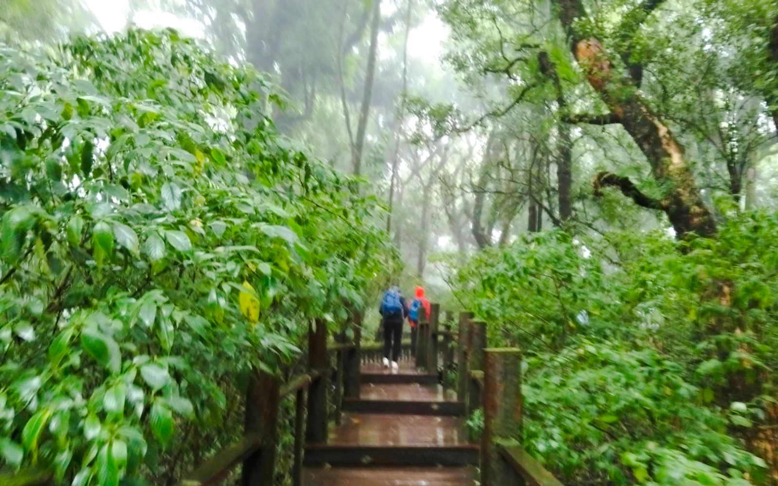 From Chiang Mai: Doi Inthanon Private Van Charter with Driver Image 2