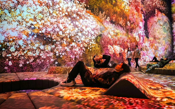 Visitors relaxing in the immersive Flower Room at Mercer Labs Museum of Art.
