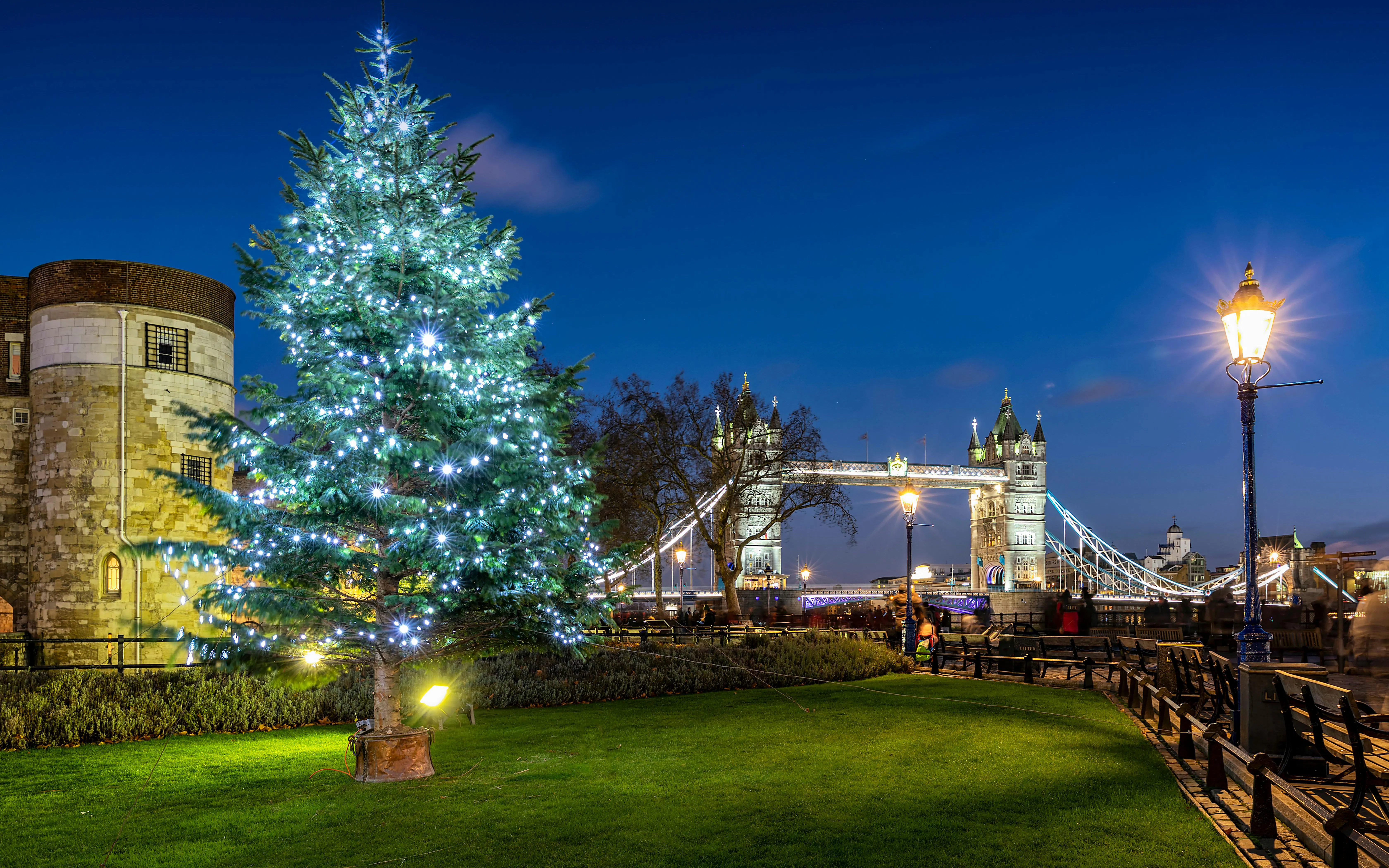 Tower Bridge and Christmas tree illuminated at night during London Christmas Lights Bus Tour.