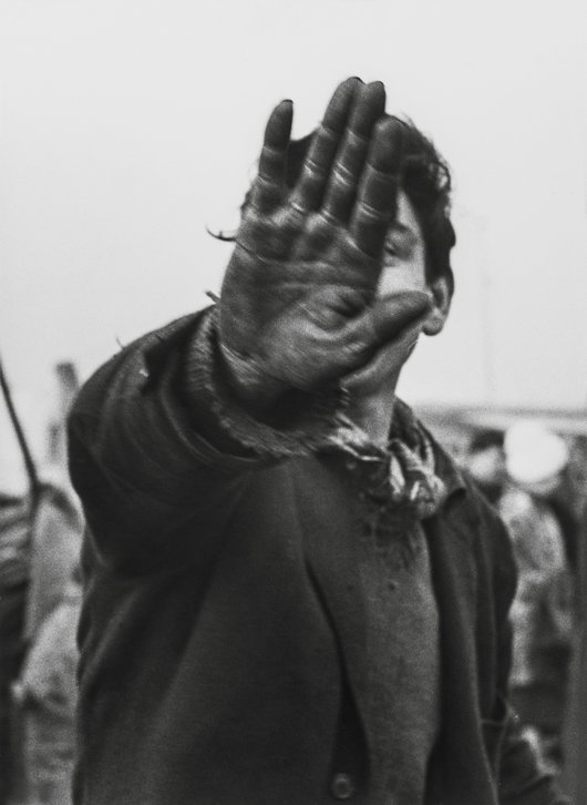 Body-to-Body Photographic Stories