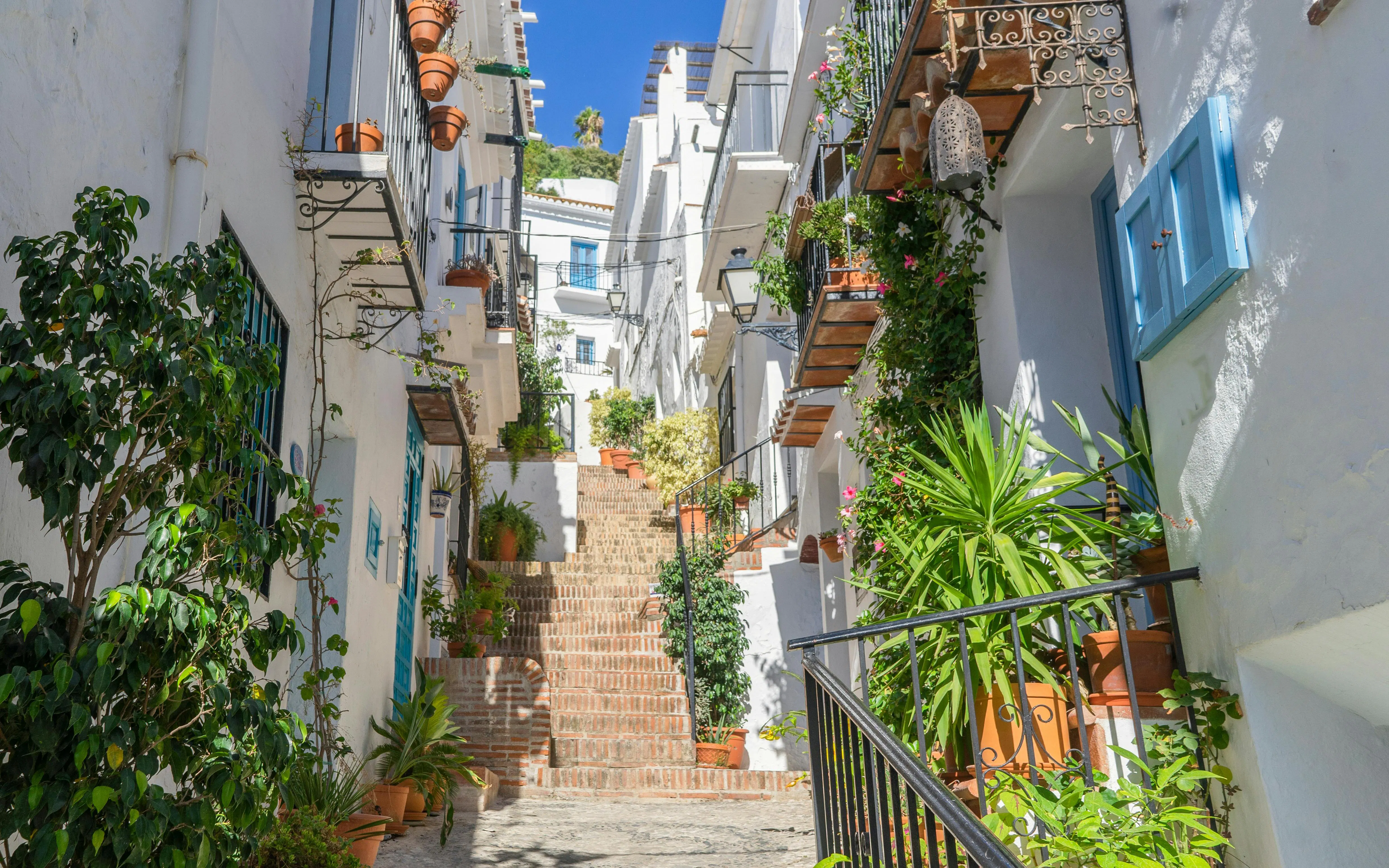 Narrow cobblestone street with whitewashed buildings and potted plants in Frigiliana, Spain.