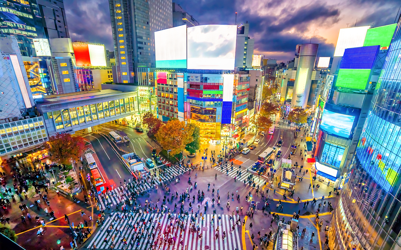 Shibuya Scramble Crossing