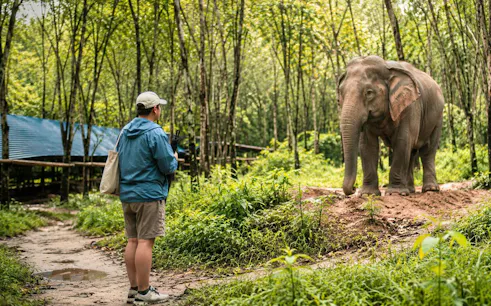 Visitor observing an Asian elephant on a dirt path at Khao Lak Ethical Elephant Sanctuary.