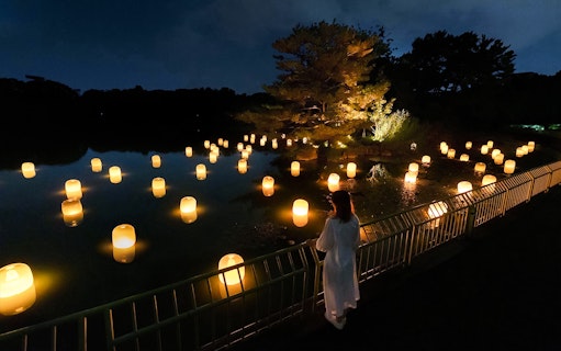 Glowing spheres in a forest setting at teamLab Botanical Garden Osaka art installation.