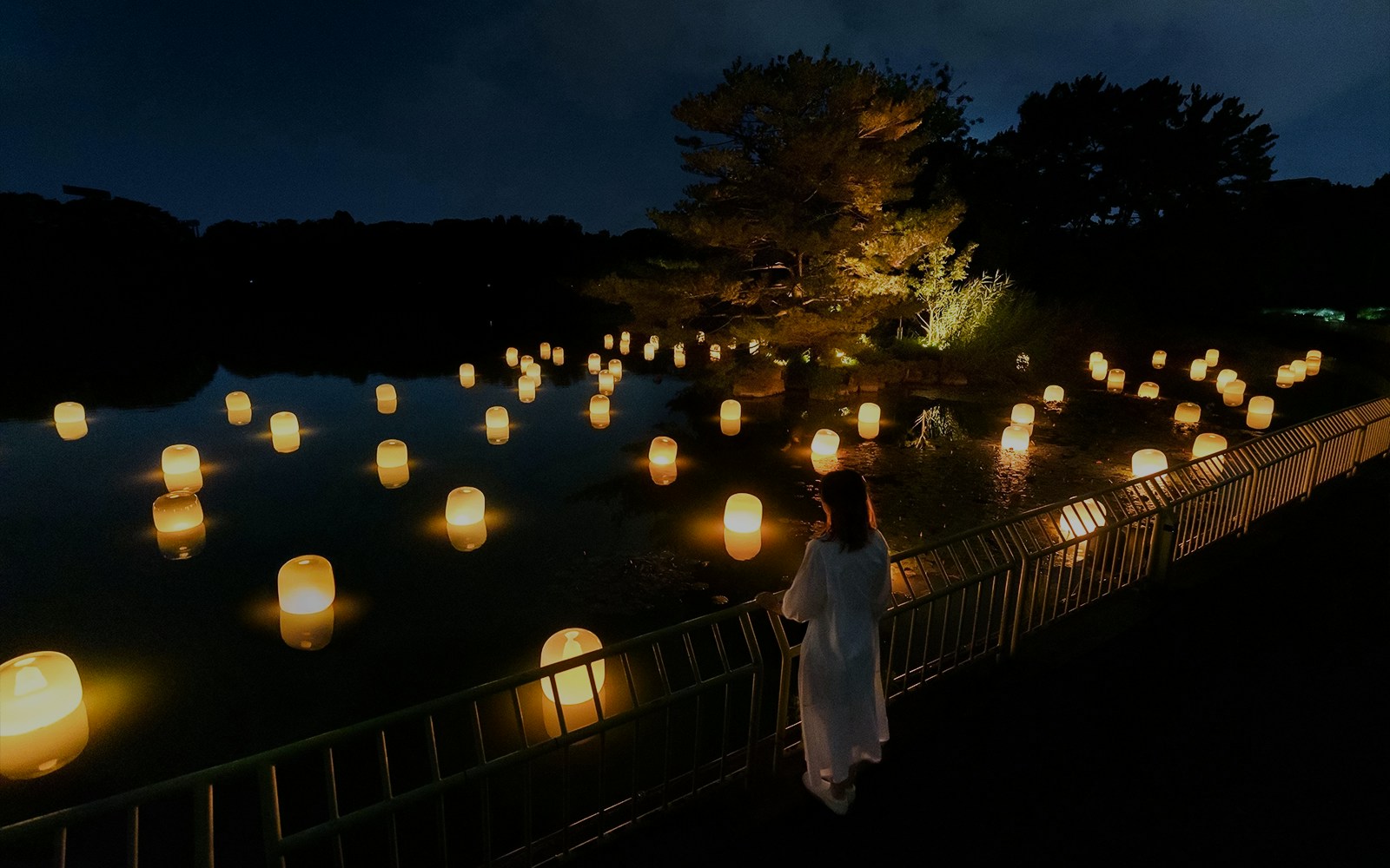 About TeamLab Botanical Garden