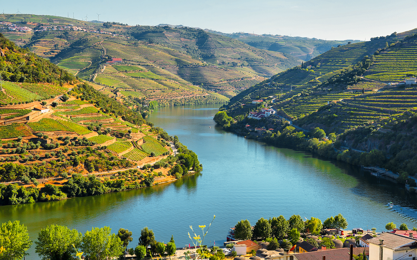 Douro River and vineyards from Casal de Loivos viewpoint, Portugal.