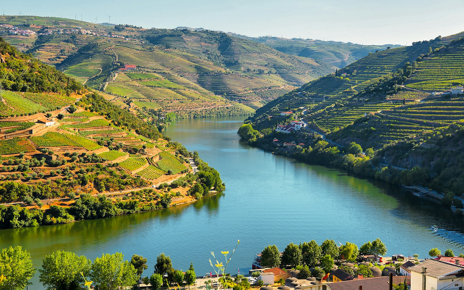 Douro River and vineyards from Casal de Loivos viewpoint, Portugal.