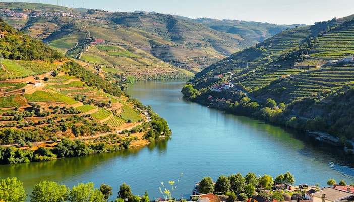 Douro River and vineyards from Casal de Loivos viewpoint, Portugal.