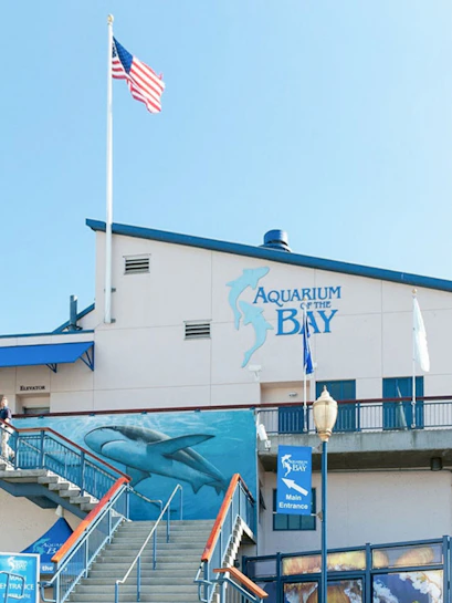 Aquarium of the Bay entrance with shark mural and American flag.