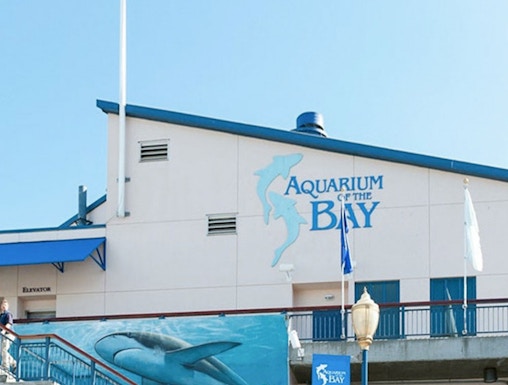 Aquarium of the Bay entrance with shark mural and American flag.