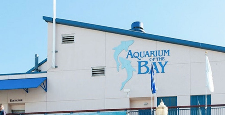 Aquarium of the Bay
