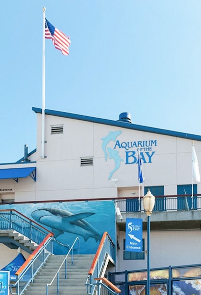 Aquarium of the Bay