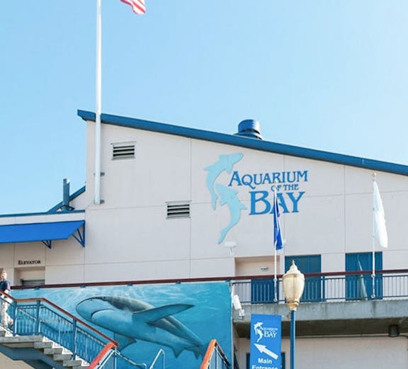 Aquarium of the Bay entrance with shark mural and American flag.