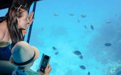 Mother and child viewing fish through semi-submarine window, Royal Seascope, Red Sea, Hurghada.