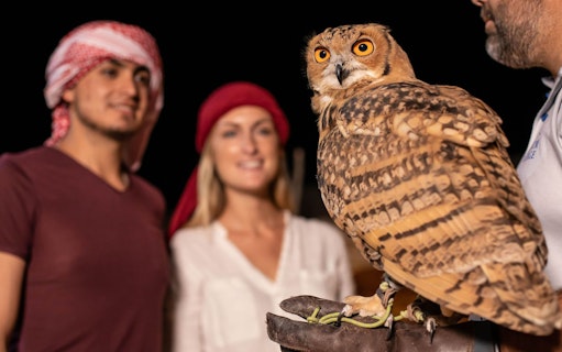 Owl perched on a gloved hand during a private night safari experience.