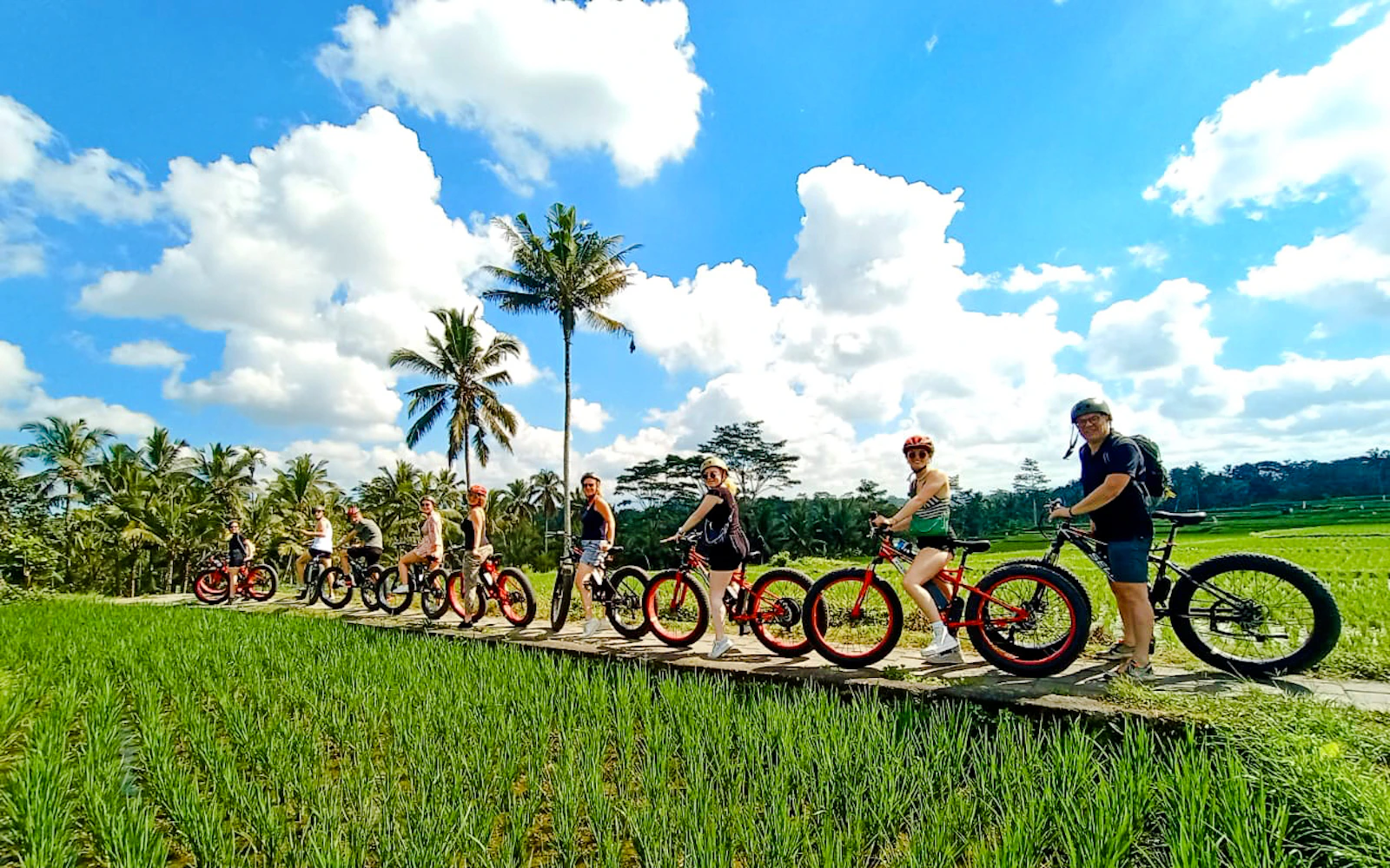 Ubud E-Bike Guided Tour to Tegallalang Rice Terraces Image 3