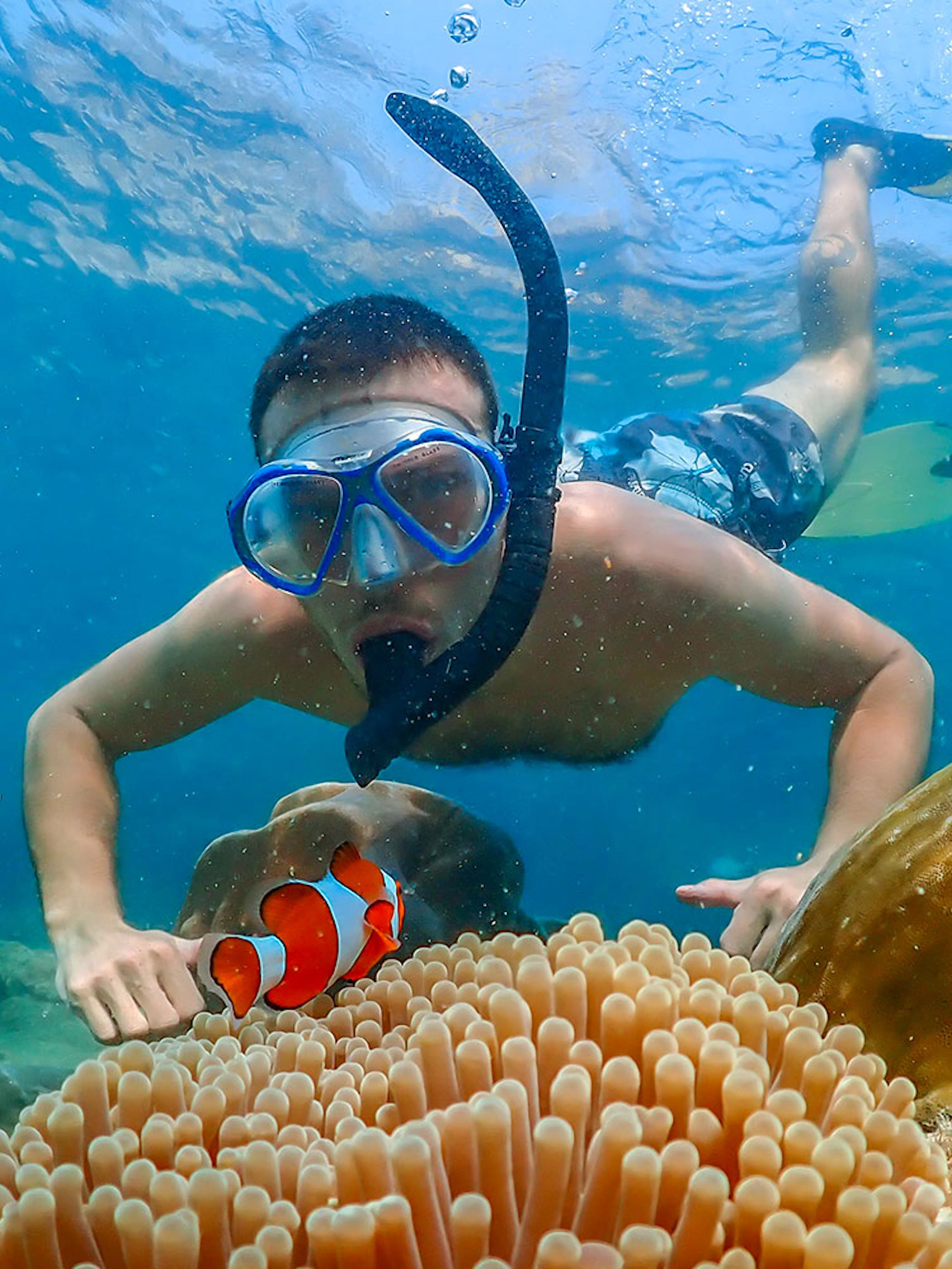 Snorkeler observing clownfish near coral reef at Nemo Island, Thailand.