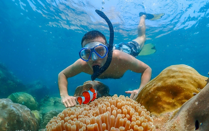 Snorkeler observing clownfish near coral reef at Nemo Island, Thailand.