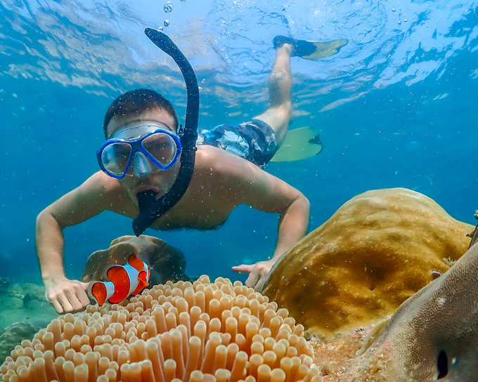 From Bangkok: Nemo Island Guided Tour with Lunch