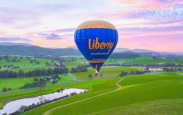 Hot air balloon over green vineyards at sunrise, Yarra Valley.