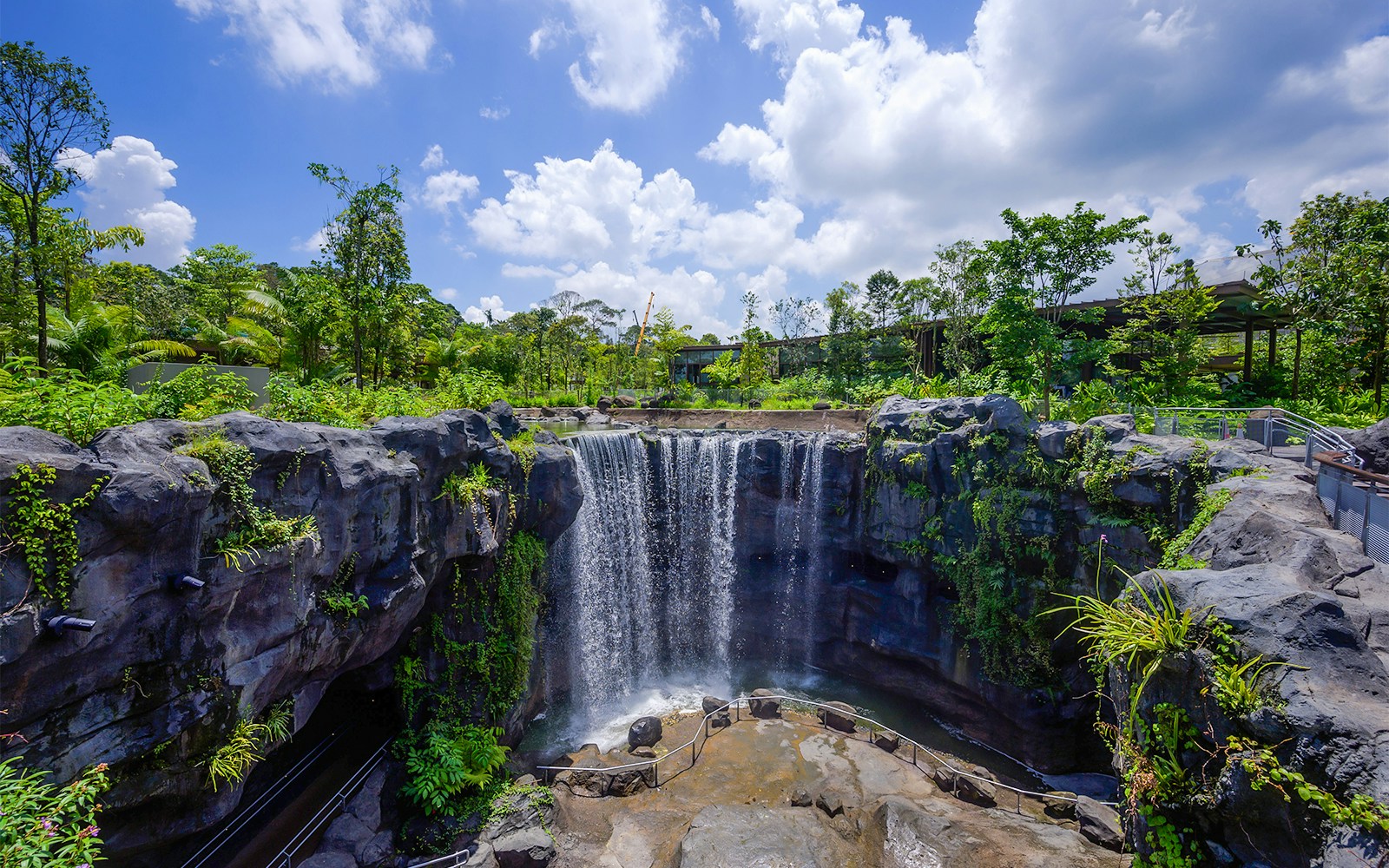 Waterfall surrounded by lush greenery at Singapore Zoo.
