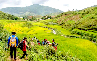 Hikers walking through rice terraces in Y Linh Ho, Sa Pa during a 1-day tour.
