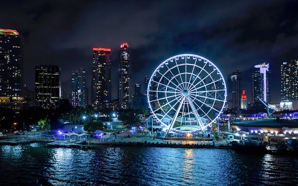 Miami Skyviews Ferris wheel illuminated at night, Bayside Marketplace skyline.