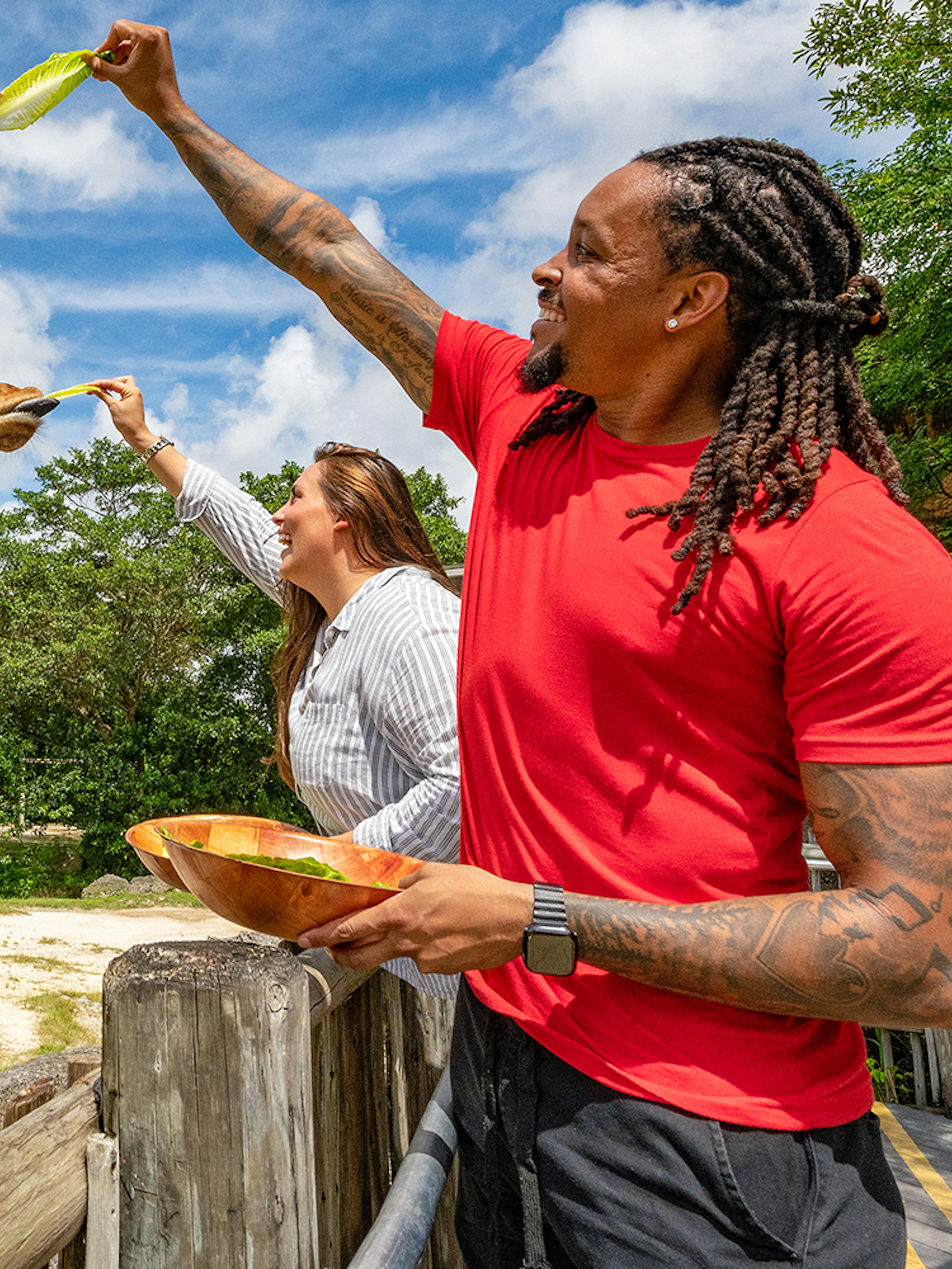 Visitors feeding giraffes at Zoo Miami.