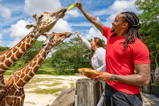 Billets pour le Zoo de Miami