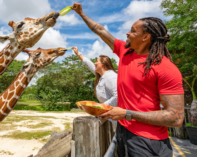 Zoo Miami Tickets