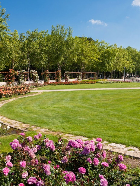 Promenade of Balatonfüred with colorful flower beds and a tree-lined path.