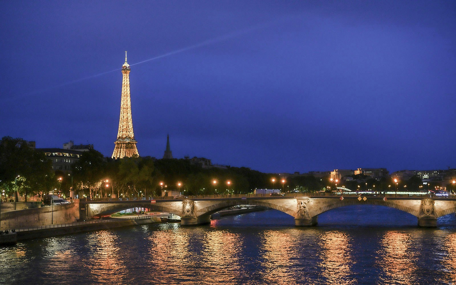 Eiffel Tower and Seine River Cruise at night