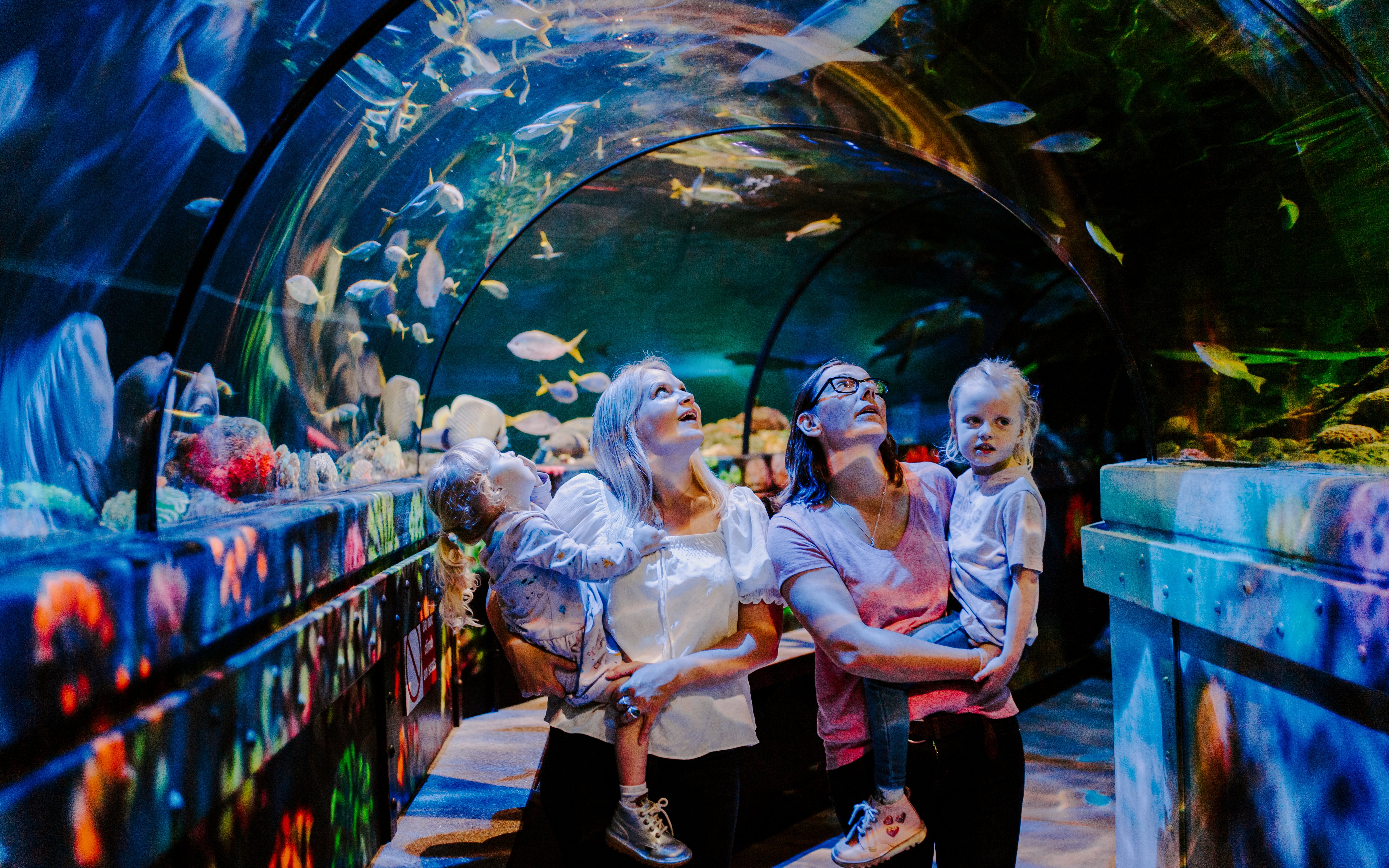 Guests exploring underwater tunnel at SEA Life Brighton.