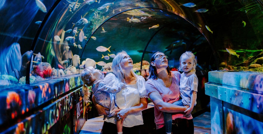 Guests exploring underwater tunnel at SEA Life Brighton.