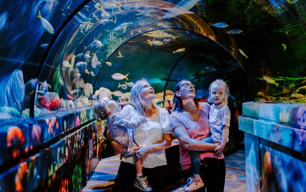 Guests exploring underwater tunnel at SEA Life Brighton.