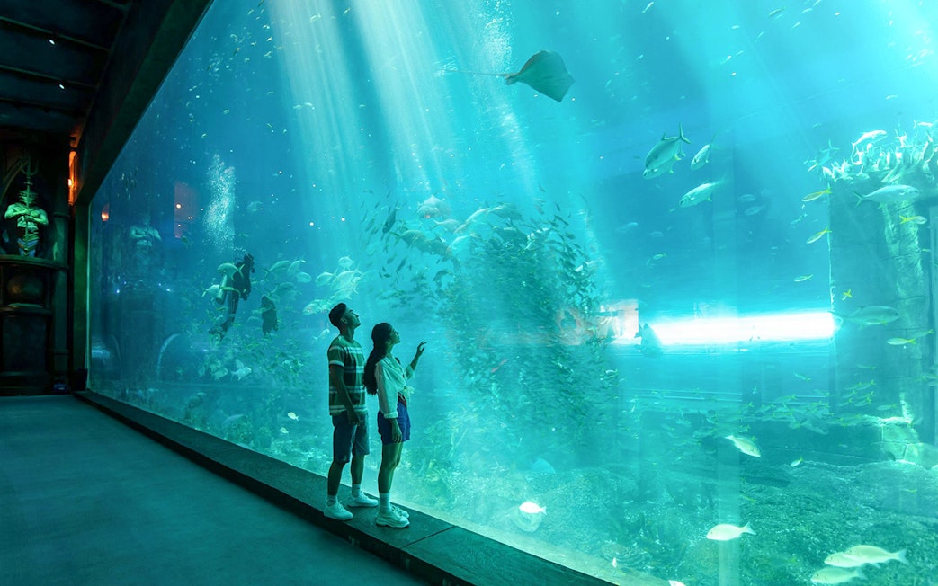 Guests observing marine life at VinWonders Phu Quoc aquarium.