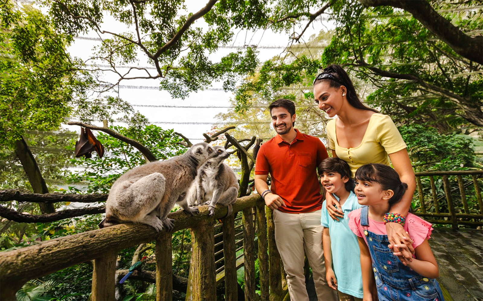 Family observing lemurs in the Fragile Forest exhibit.