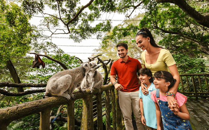 Family observing lemurs in the Fragile Forest exhibit.