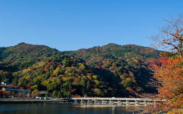 Togetsukyo Bridge with autumn foliage in Arashiyama, Kyoto during a guided day tour.