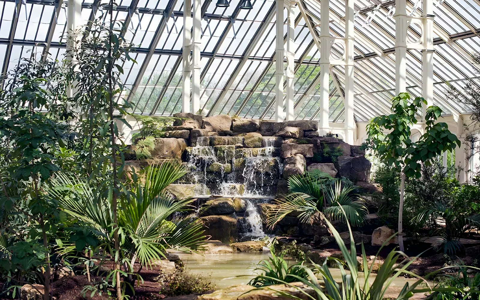 Temperate House