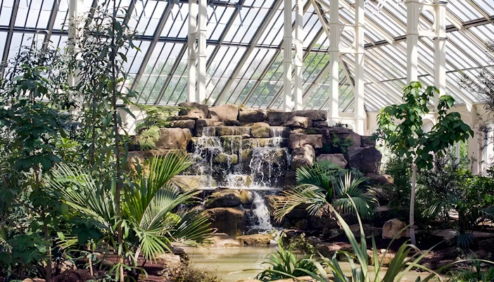 Jardin botanique Londres