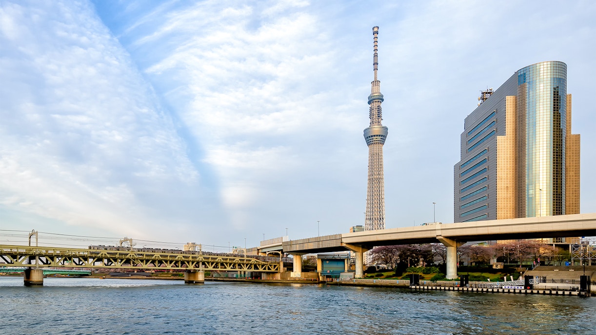 Tokyo Skytree and neighboruing buildings skyline on a blue clear sky.